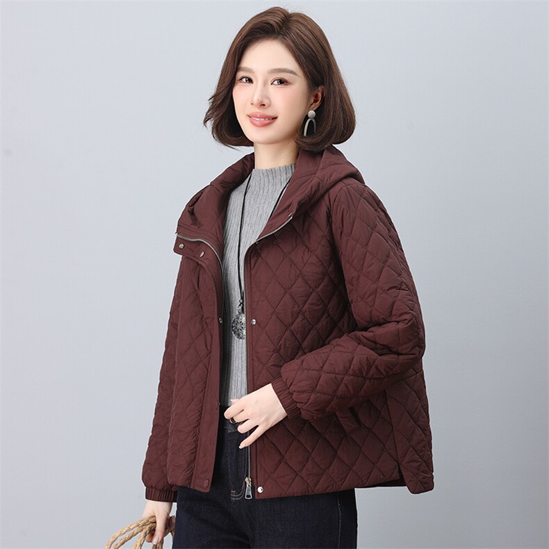 2024年冬季新款时尚休闲保暖连帽小棉服,女装棉衣/棉服,依恋蒂丝