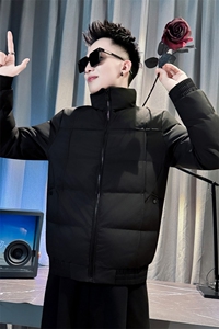 冬季新款男士修身立领棉衣男潮流简约小棉袄棉服外套 MY9809-P125图片
