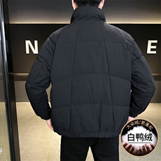 8333-P155标50%白鸭绒2025冬季男士羽绒服立领休闲加厚外套，男装羽绒服，星座507A（原星座306B-2）