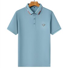 夏季2023年新款高端男士时尚刺绣POLO衫商务休闲短袖纯棉P58，男装T恤，钱塘6003A(原)4033A