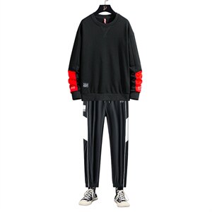 秋季新款潮牌ins时尚搭配青少年男士休闲卫衣套装SW208+K0099-P50图片