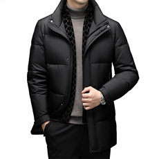 DF22621钱塘2020-2冬季新款简约立领厚款中年男士羽绒服P315，男装羽绒服，钱塘207-2