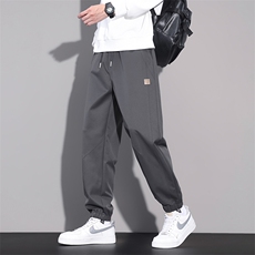 秋季新款束脚休闲裤男士2025新款宽松运动哈伦长裤百搭N6802-P45，男装休闲裤，星座509