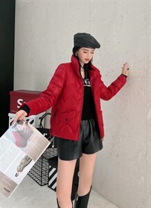 羽绒图片