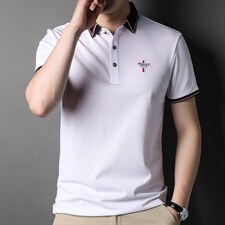 2023夏季新款中年男士翻领短袖T恤潮流POLO衫商务休闲时尚男上衣，男装T恤，电商B212（原钱塘6029）