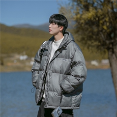 B225-W8534-P119-X149--贴标棉服-聚酯纤维，男装棉衣，电商B225