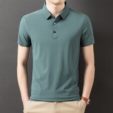 2023夏季新款短袖翻领衬衫T恤上衣POLO衫中青年男士商务休闲男装，男装T恤，电商B212（原钱塘6029）