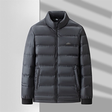 V3691钱塘2020-3立领时尚冬季厚款百搭中年男90鸭绒羽绒服P215，男装羽绒服，钱塘207-3