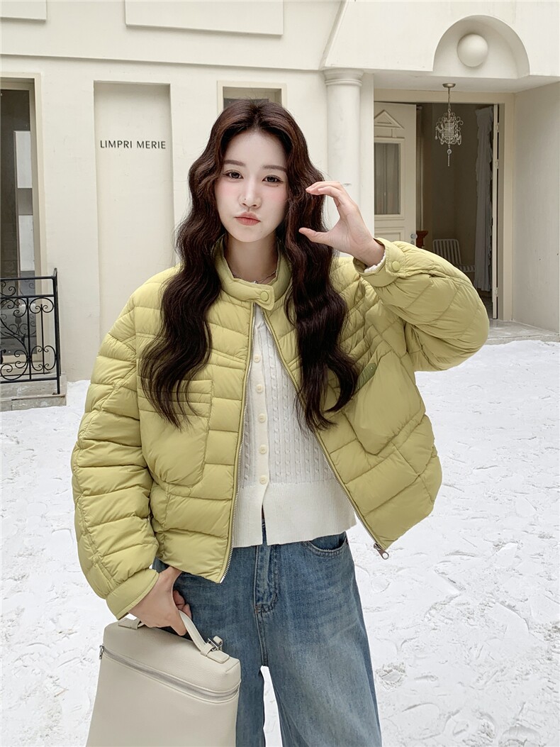 极简风休闲轻羽绒服女2025冬季新款韩系立领保暖白鸭绒百搭厚外套,女装羽绒服,玖莱伊