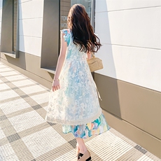 2025新款夏装小飞袖度假风两件套连衣裙2521-P175控258，女装连衣裙，2D009