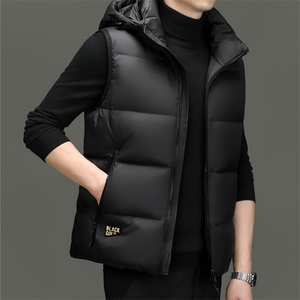 DF8011钱塘2020-2冬季时尚简约新款中年男士羽绒服P188图片