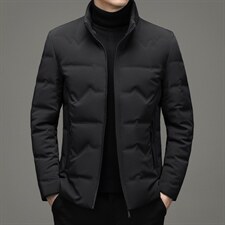 2023冬季新款立领羽绒服短款中年装加厚保暖纯色外套XX2188-P295，男装羽绒服，电商B212（原钱塘6029）