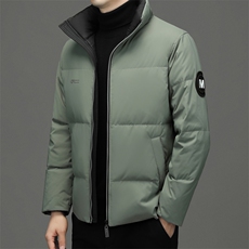 2023年新款羽绒服P220，男装羽绒服，电商D223-1