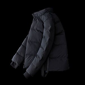 棉服男士保暖棉衣外套加厚棉袄2020冬季新款DS212T图片