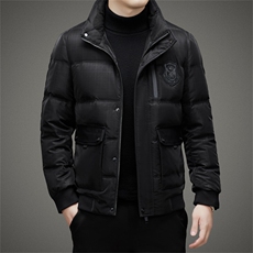 DJ23YR9917钱塘2020-3新款商务休闲立领冬季厚款羽绒服货稳P260，男装羽绒服，钱塘207-3