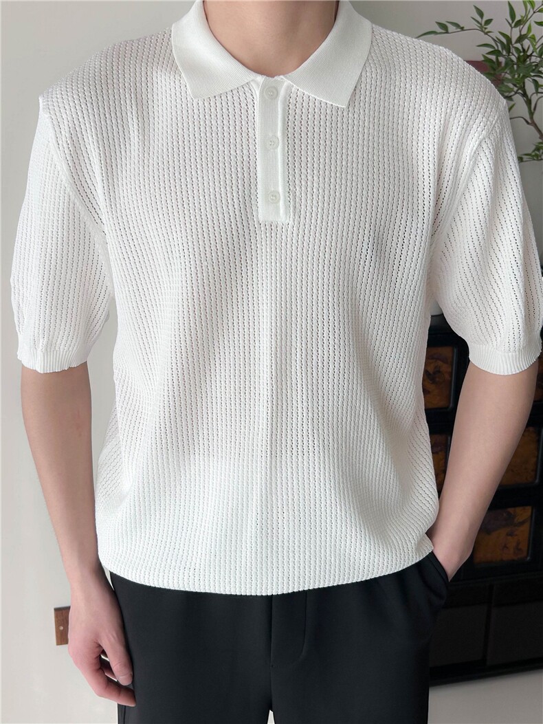 夏季男士翻领纯色针织衫POLO衫冰丝透气B3004-P55,男装Polo衫,星座1012-1