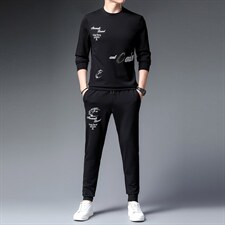男士休闲运动服套装春秋季高端刺绣卫衣男中年长袖T恤两件套，男装休闲套装，电商B212（原钱塘6029）