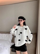 秋款卫衣，女装卫衣/绒衫，卓越