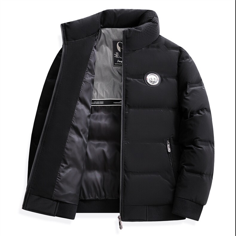 冬季白鸭绒加厚羽绒服短款中青年休闲立领保暖防寒潮服外套男装,男装羽绒服,钱塘6003（原4033）