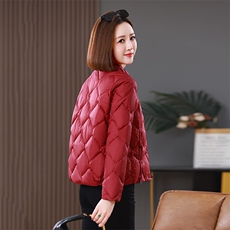 2025冬装新中式盘扣短款立领棉衣外套，女装棉衣/棉服，雪樱依海