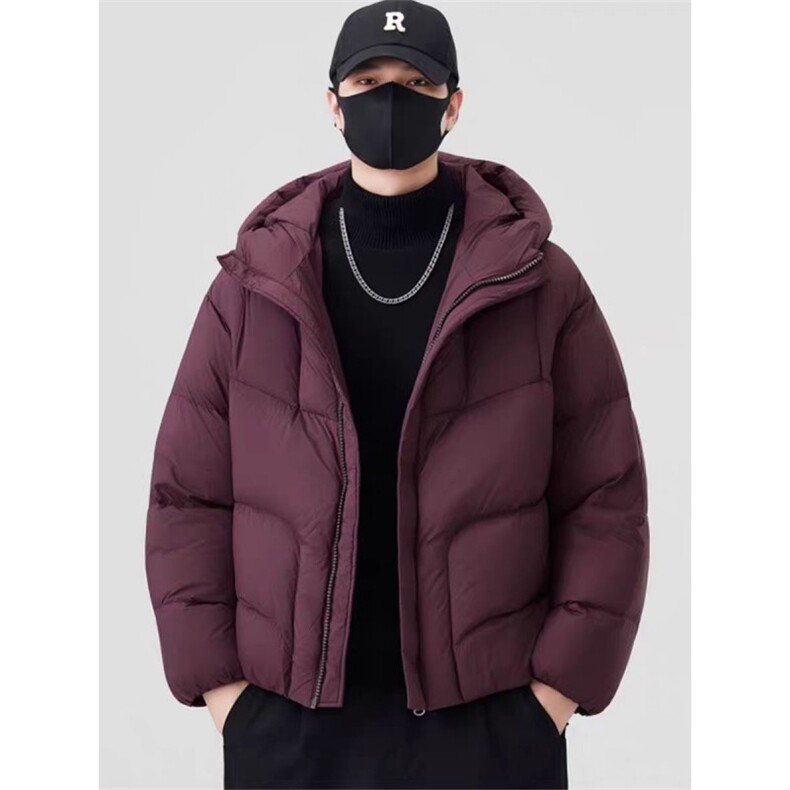 (网图)90白鸭绒207-240克龟背羽绒服百搭宽松313B-2722-P330,男装羽绒服,星座313B