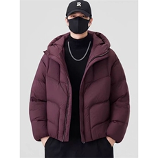 (网图)90白鸭绒207-240克龟背羽绒服百搭宽松313B-2722-P330，男装羽绒服，星座313B