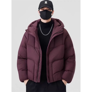 (网图) 90白鸭绒 207-240克 龟背羽绒服百搭宽松  313B-2722-P330图片