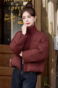 【主推bao款现货】2025新款冬装休闲短款针织立领羽绒服90白鸭绒图片