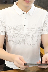 25006-P35春季休闲时尚T恤男短袖打底衫商务休闲修身短袖POLO衫图片