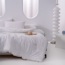 新款抗菌冬被春秋被子被芯，被套/被芯，一起卖家纺