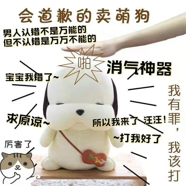 道歉狗（带音乐盒)兔毛，多乐玩具工厂店