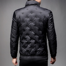 羽绒服冬季男装90%白鸭绒羽绒服立领加厚时尚青年外套HP8808-P305，男装羽绒服，星座1105-3