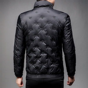 羽绒服冬季男装90%白鸭绒羽绒服立领加厚时尚青年外套HP8808-P305图片