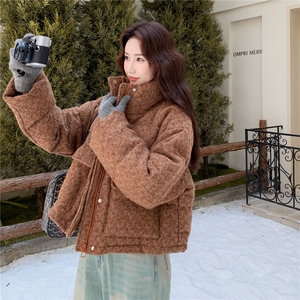 新款冬装羽绒服A2568-P255-K385图片