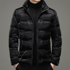 白鸭绒中年男休闲立领羽绒服保暖爸爸装短款羽绒服男YL5806-P275,男装羽绒服,电商B212（原钱塘6029）