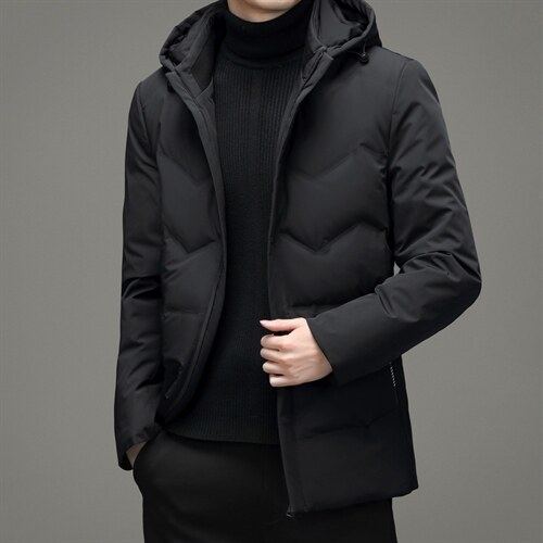 羽绒服男士商务冬季新款休闲连帽可卸中青年保暖外套DD21722-P335，男装羽绒服，电商B212（原钱塘6029）