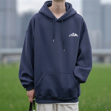 潮牌加厚连帽卫衣男简约休闲宽松ins加绒帽衫D328-WY23100-P65，男装卫衣，电商D328