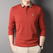 长袖纯色t恤男2023秋季新款青中年宽松刺绣polo衫翻领体恤男装潮，男装T恤，电商B212（原钱塘6029）