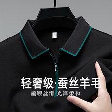 秋冬新款男士长袖休闲商务高档T恤衫中年气质潮流polo衫春秋上衣，男装T恤，电商B212（原钱塘6029）
