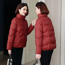 现货时尚简约纯色立领棉衣女2025新款冬季棉袄休闲加厚韩版棉外套，女装棉衣/棉服，木橙西子