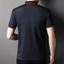 2022时尚短袖T恤男夏季爸爸装polo衫商务中年休闲无痕半袖T恤P99，男装T恤，钱塘6003A(原)4033A