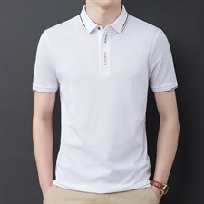 短袖t恤男装2023夏季新款中年潮流polo衫翻领商务休闲百搭t恤男士，男装T恤，电商B212（原钱塘6029）