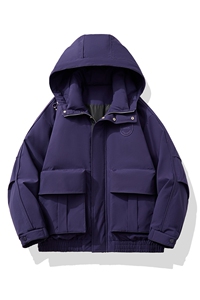男士冬季户外工装大口袋加厚羽绒服 D213-3203-P440图片