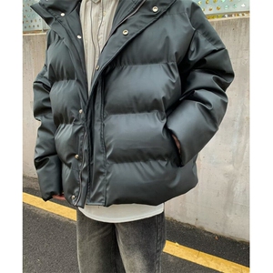 【有货】DW228-P83潮牌冬季加厚保暖立领棉衣潮流休闲帅气面包服图片