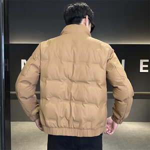 数据男士冬季羽绒服立领百搭鸭绒保暖夹克外套A225-8316-P95图片