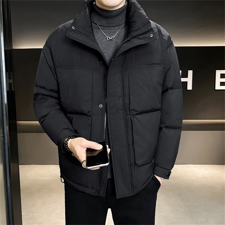 标90白鸭绒店主风轻奢高级感立领羽绒服外套男X8608-P300,男装羽绒服,电商A413