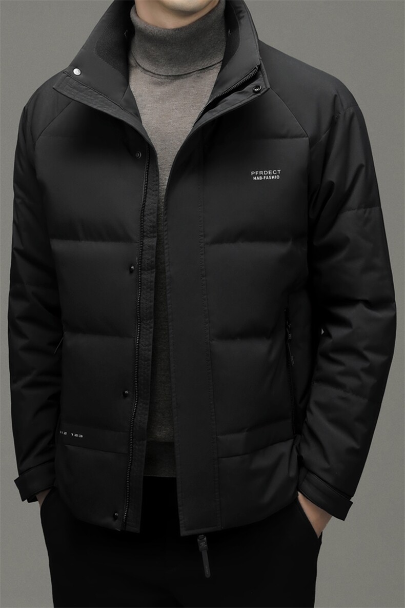 DF6857钱塘2020-2冬季厚款时尚休闲立领中年男士简约羽绒服P230,男装羽绒服,钱塘207-2