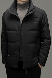 DF6857钱塘2020-2冬季厚款时尚休闲立领中年男士简约羽绒服P230图片