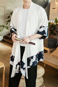 夏季大码风汉服唐装薄款和服防晒衫披风复古道袍中性 F10/P65图片