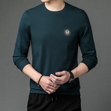 2022中年男士长袖上衣薄款圆领印花秋季新款青年商务休闲男卫衣，男装卫衣，电商B212（原钱塘6029）